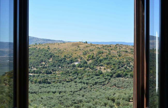 Torre Bruno - Foto 7