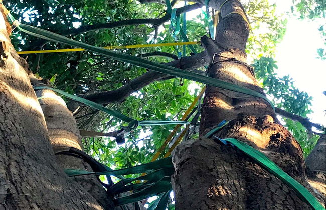 Rapel e escalada no oásis de Pica - Foto 3