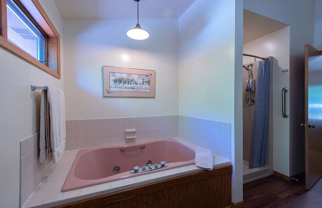 The Rushes - Foto 22