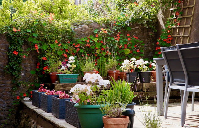 The Pink Door - Foto 28