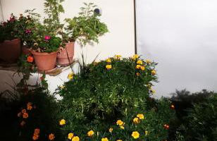 Iliana's house - Photo 7