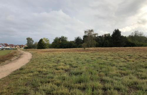 Perfekter Rückzugsort - Probewohnen im Musterhaus - Foto 19