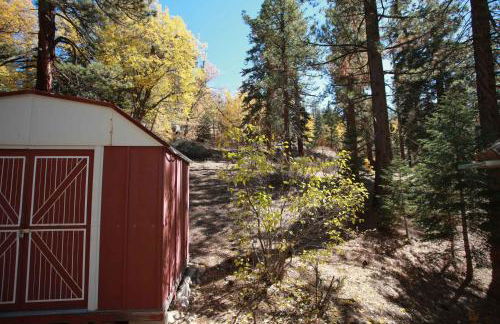 Owl Cabin - Sierra style cabin located on a quiet road in Fawnskin and backs up to National Forest! - Foto 13