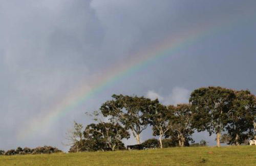 Chalés do Mato Dentro - Photo 38