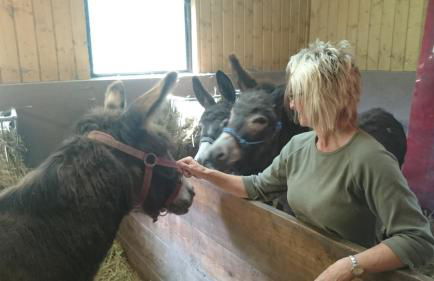 Ferienwohnung Hägelhof - Foto 25