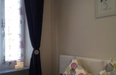 Palme d'hote - Photo 11