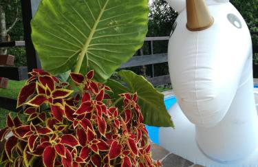 Apartman Mimi - Foto 13