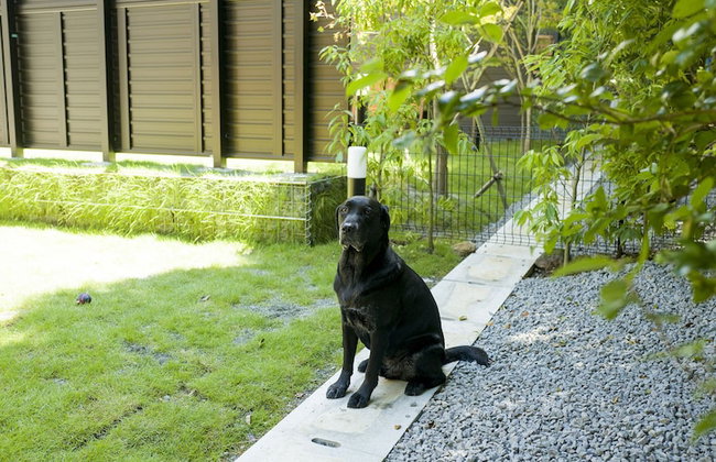 Rakuten STAY VILLA Hakone Sengokuhara - Foto 62