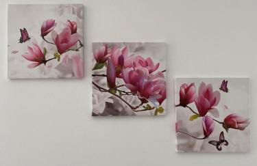 House of Flowers - Foto 13