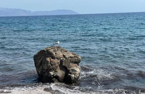 Sea Urchin Apartment Neos Kosmos - Foto 27