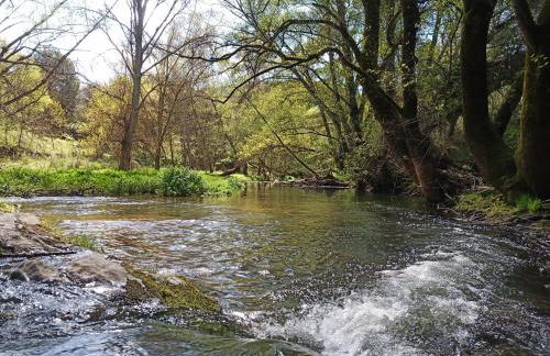 Casa Monte Los Peñasquitos - Photo 33