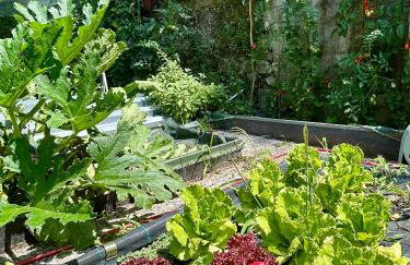 Valle Fiorita 42 - Garden apartment - Photo 34