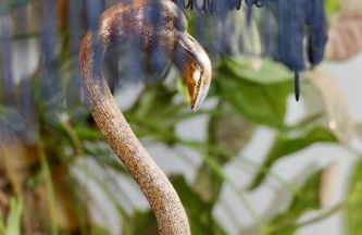 Hyem at Cullercoats - Foto 40