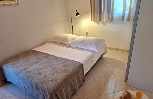 House Tea in a beautiful nature - Foto 24