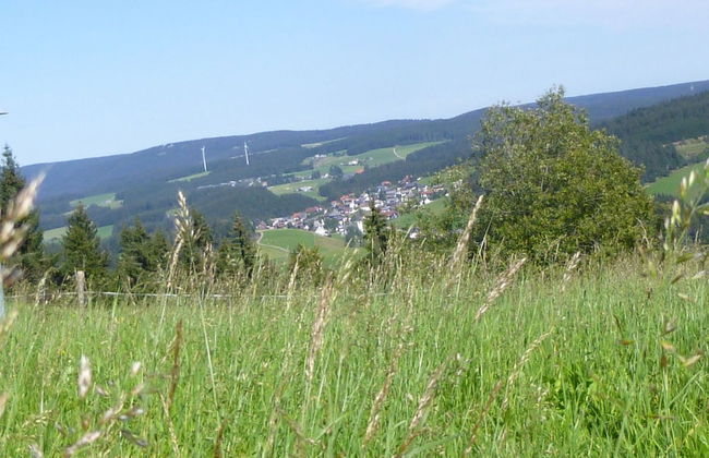 Lush Apartment in Furtwangen near Black Forest with Balcony - Foto 14