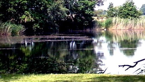 Ferienwohnungen im KUNST.HAUS am See - Foto 2