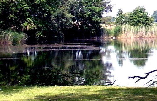 Ferienwohnungen im KUNST.HAUS am See - Foto 2