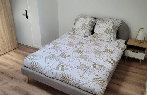 Bel Appart' 3 chambres 3 Sdb au centre-ville St Etienne - Foto 15