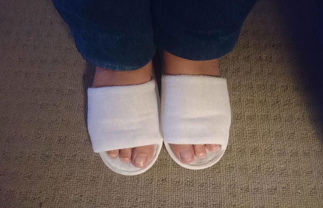 Palm Lakeside - Bowen, Whitsundays Wifi Netflix Private Cool Luxury - Foto 9