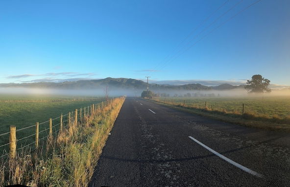 The Mackinnon - Photo 17