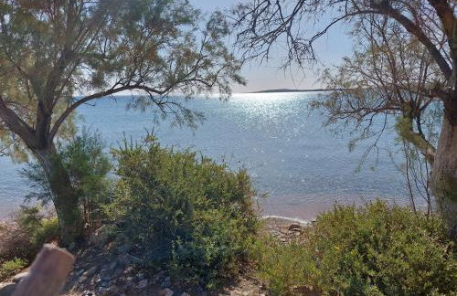 Olivar Suites - Photo 26