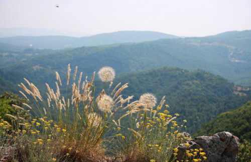 Borgo Fango - Foto 26