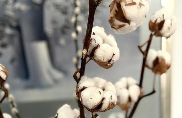 Spacious 82 m2 Two Bedroom classy apartment near City Center - Foto 54