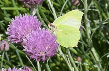 The Annexe at Fishponds - Photo 24