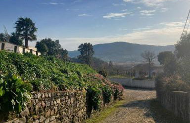 Casa do Fijogo - Foto 10