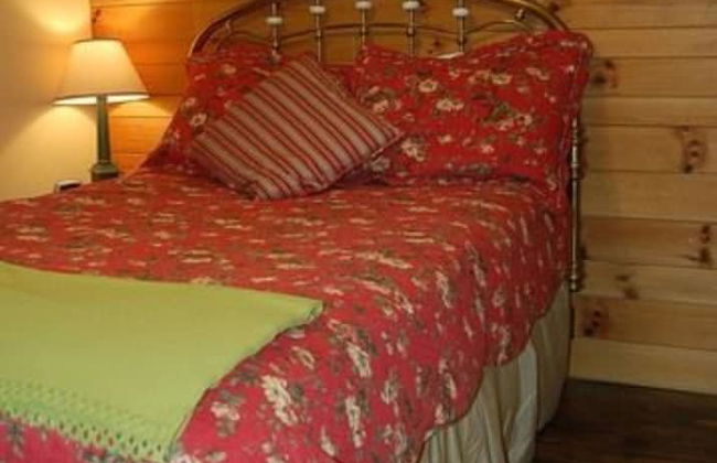 The Cabins at Healing Springs - Foto 6