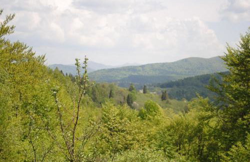 Agroturystyka Smolnikowe Klimaty - Sauna&Jacuzzi - Foto 48