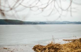 Domek SzumiSosna1 - Foto 28