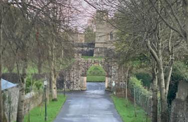 Duncan's Cottage at Royal Hillsborough - Foto 8