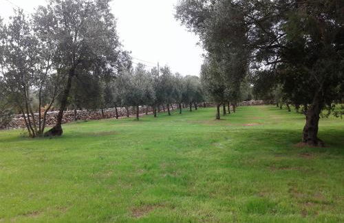 Tenuta La Spezia - Foto 57