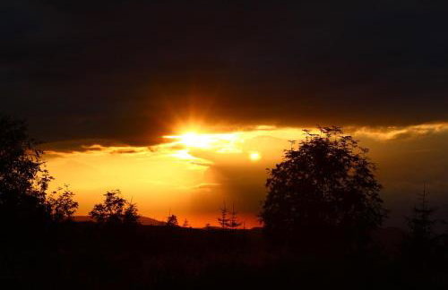 Ferienwohnung Küsterland - Photo 31