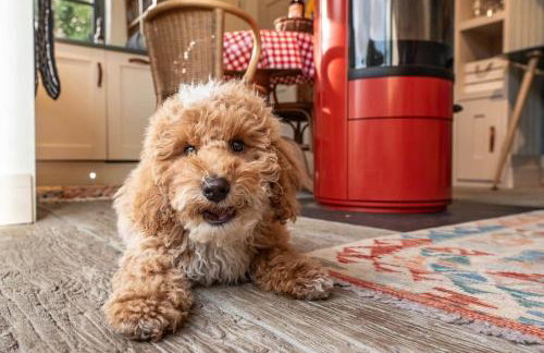 The Little House, Orford - Foto 13