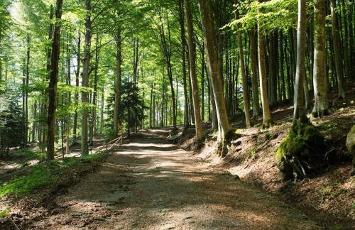 4 Monte Amiata Dream Stay Pool, Free Wi-Fi & Parking - Foto 43