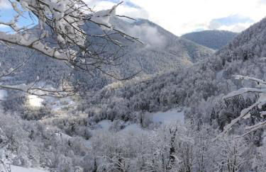 Chalet typique des Pyrénées - Foto 34