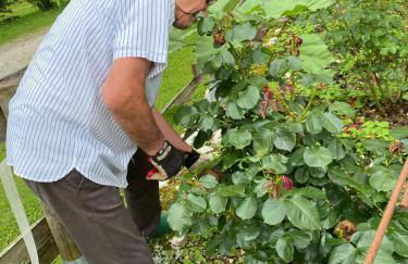 Agriturismo Pian Dei Tass - Foto 39