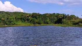 Obelisco casa na fazenda completa - Foto 5