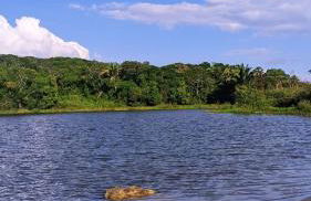 Obelisco casa na fazenda completa - Foto 5