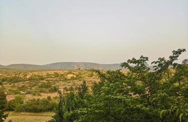 le vieux mas du domaine de Pontet-Fronzele - Foto 3