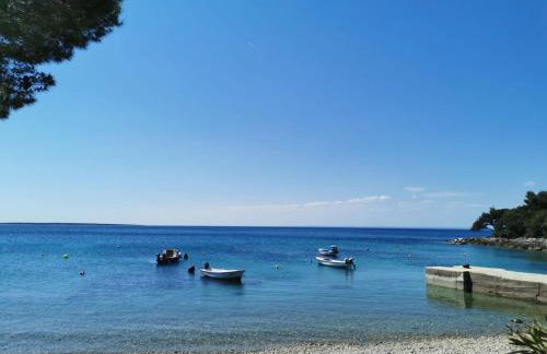 Guesthouse Stivan (920) - Foto 38