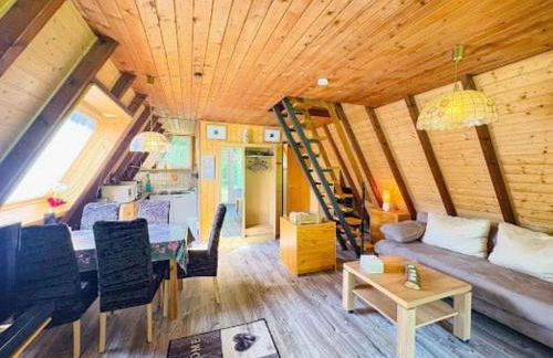 Ebony, kleines Nurdachhaus in direkter Waldrandlage - Foto 1