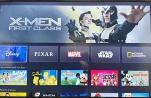 Heart of San Diego-Walk Score 82-Backyard -BBQ-HBO - Foto 6