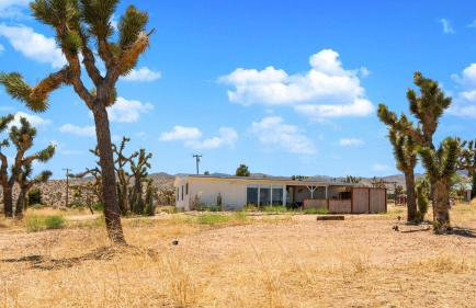 The Whispering Wind Tree - Foto 22