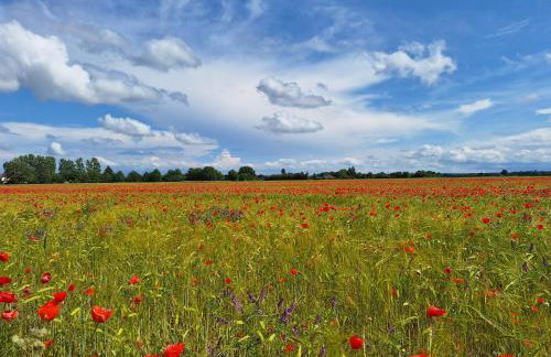 Appartementhaus Kastanie - Foto 69