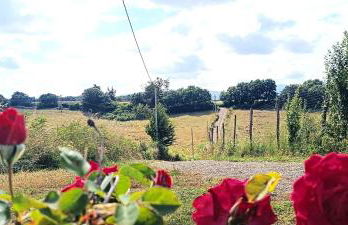 Casavacanze Pergolino, appartamenti ad uso esclusivo - Foto 7
