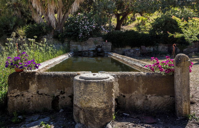 Agriturismo Tarantola - Foto 56