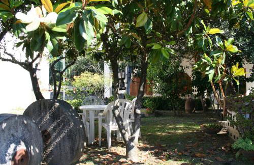 Il nespolo - Photo 9